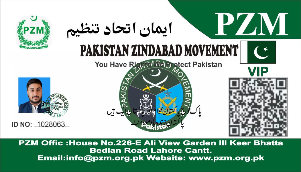 Hussain Mahmood Bajwa